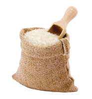 Fresh Payaz Milk